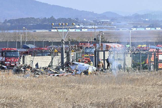 航空专家：韩国空难或因机组在鸟击后忽略未放下起落架所致