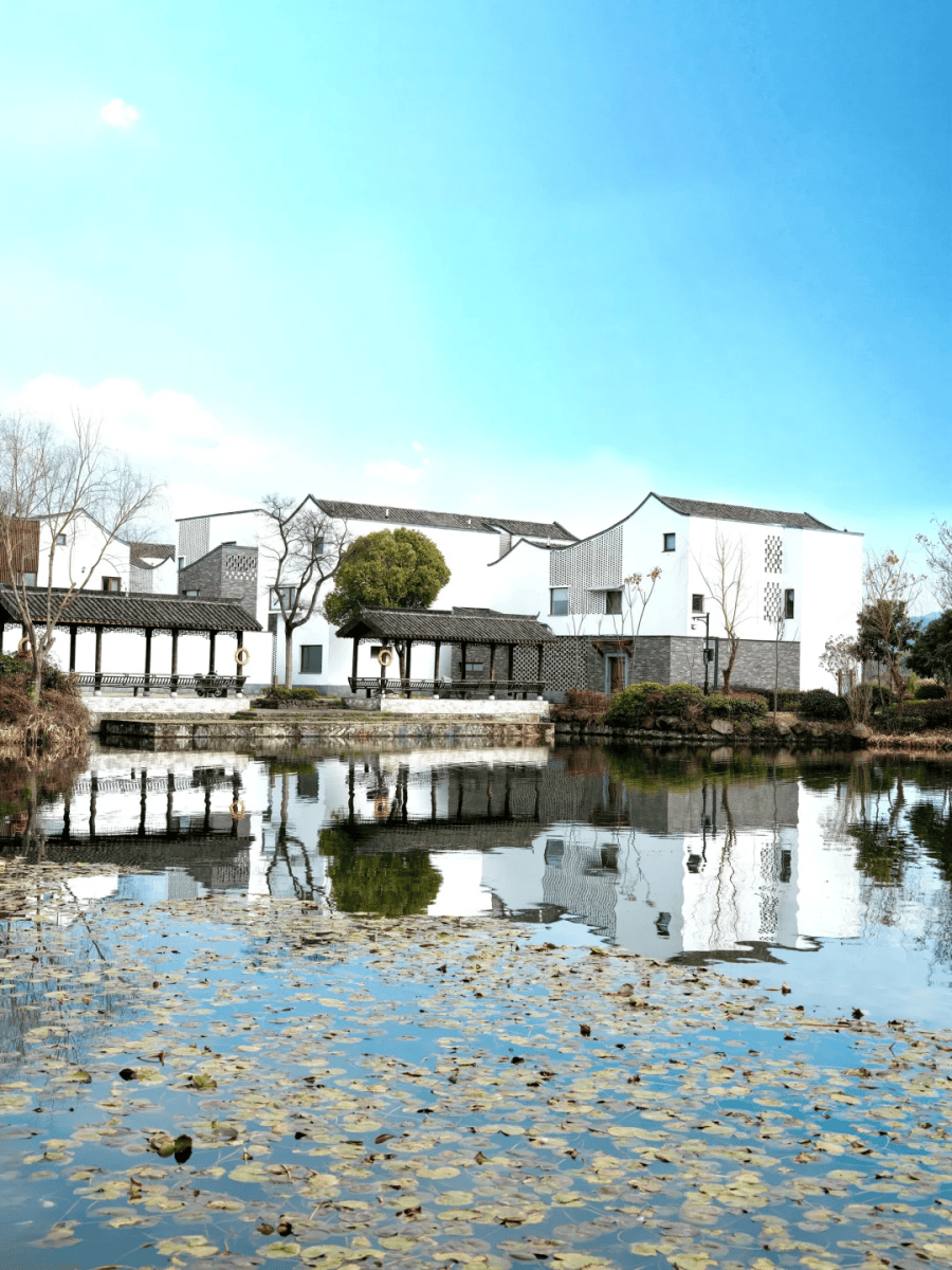 4 桐庐米果制作体验,游深奥古村 ,东梓关村古村一日