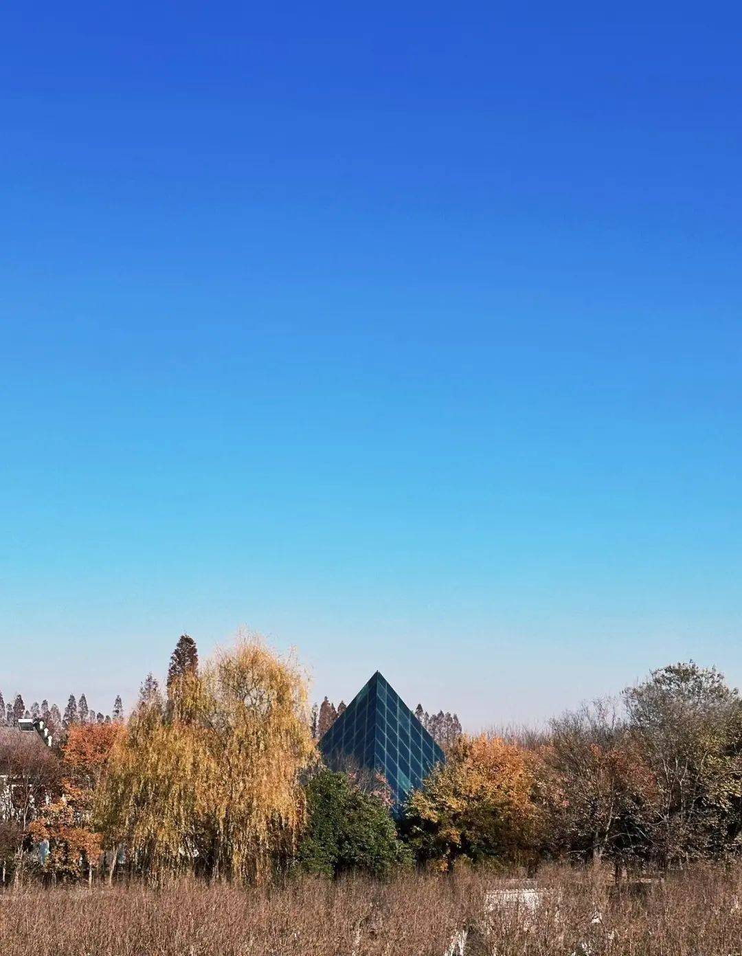 年末风景