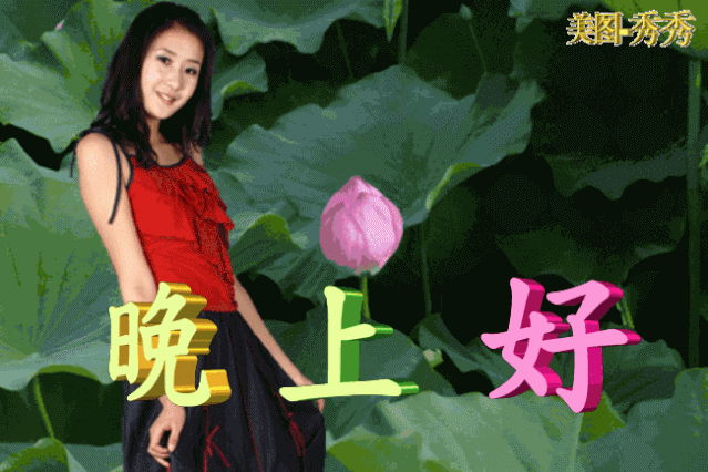 9张漂亮的晚上好动态美图,最美晚上好祝福图片带字温馨