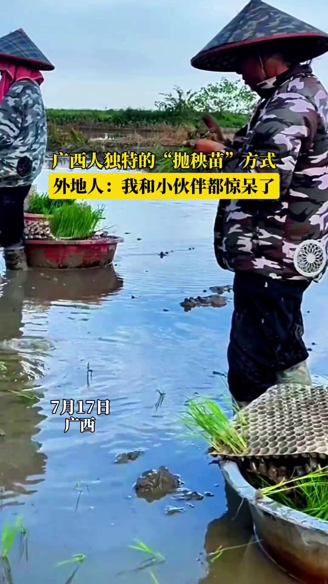 广西人独特的"抛秧苗"方式.外地人:我和小伙伴都惊呆了