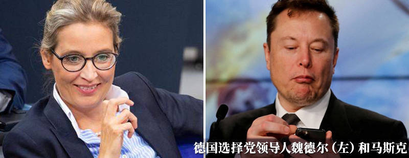 马斯克发出“傻瓜”嘲讽后,德国总理朔尔茨回应:巨魔 马斯克发出“傻瓜”嘲讽后,德国总理朔尔茨回应:巨魔