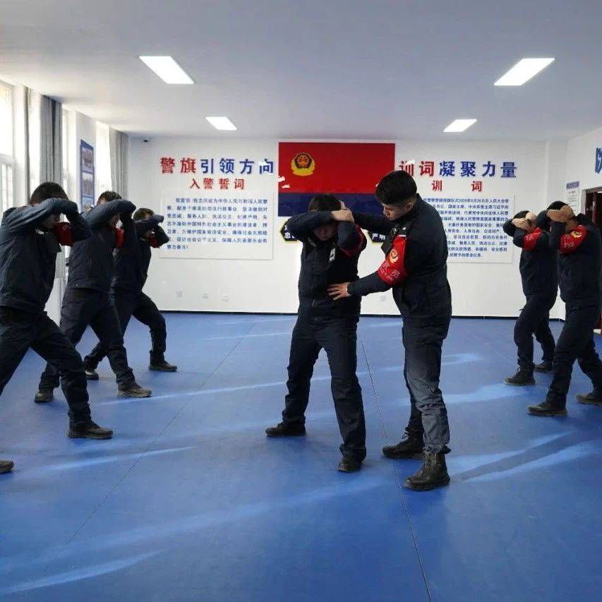 【实战大练兵】实战能力稳步提升 精神面貌焕然一新 ——特警大队开展2025年第一次实战大练兵纪实_训练_模拟_动作