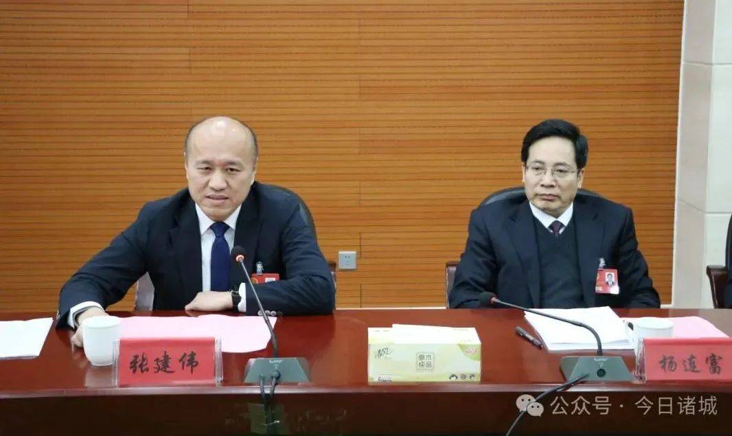 张建伟参加密州代表团审议