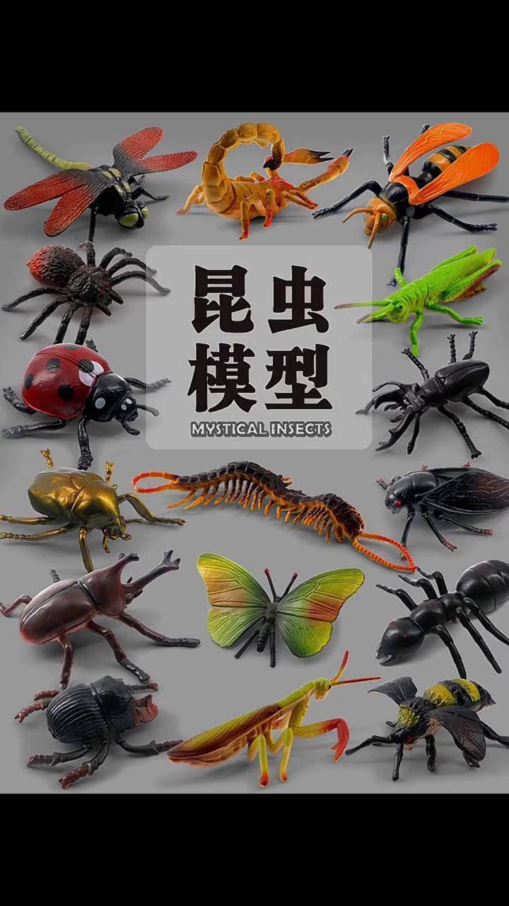收集昆虫模型玩具,满足孩子的好奇心昆虫世界