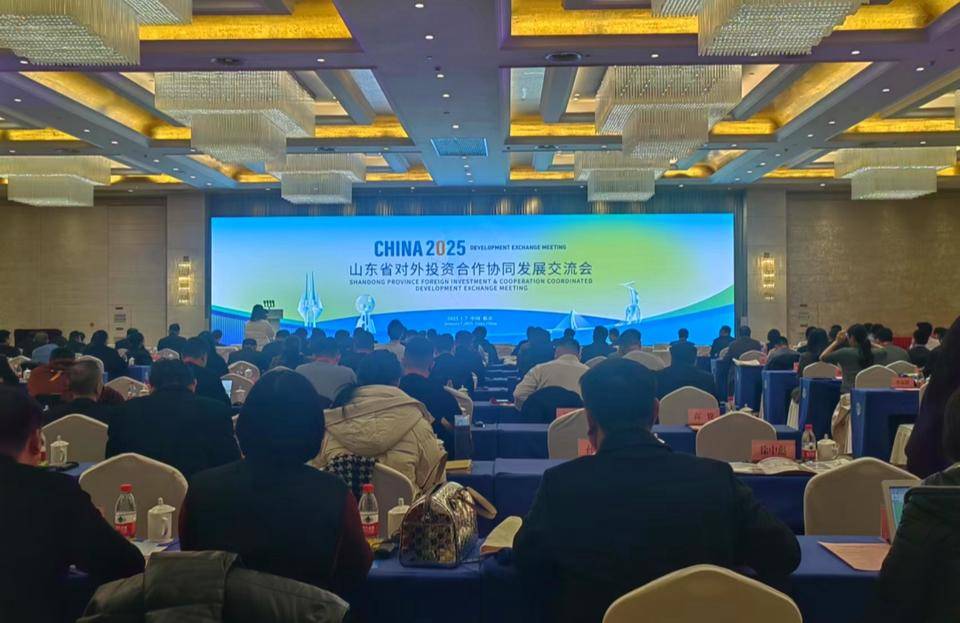 山东省对外投资合作协同发展交流会石油化工及新能源专场临沂举办_企业_天然气公司