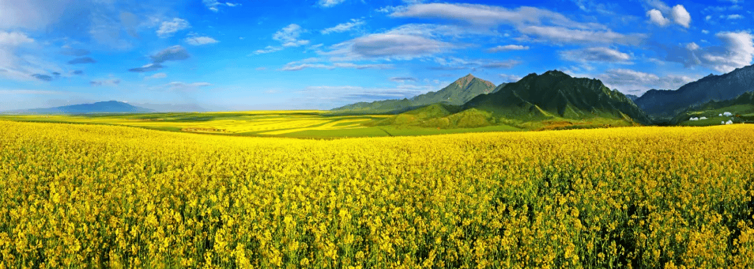 甘肃省生态环境厅党组书记苏君、厅长葛建团：多措并举推动祁连山“美丽蝶变”