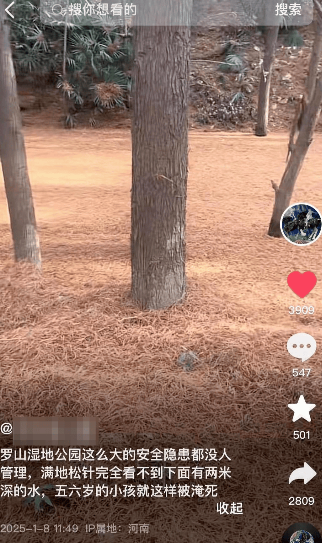 河南信阳一湿地公园有孩童溺亡，家属称落水水域铺满松针 多部门介入调查