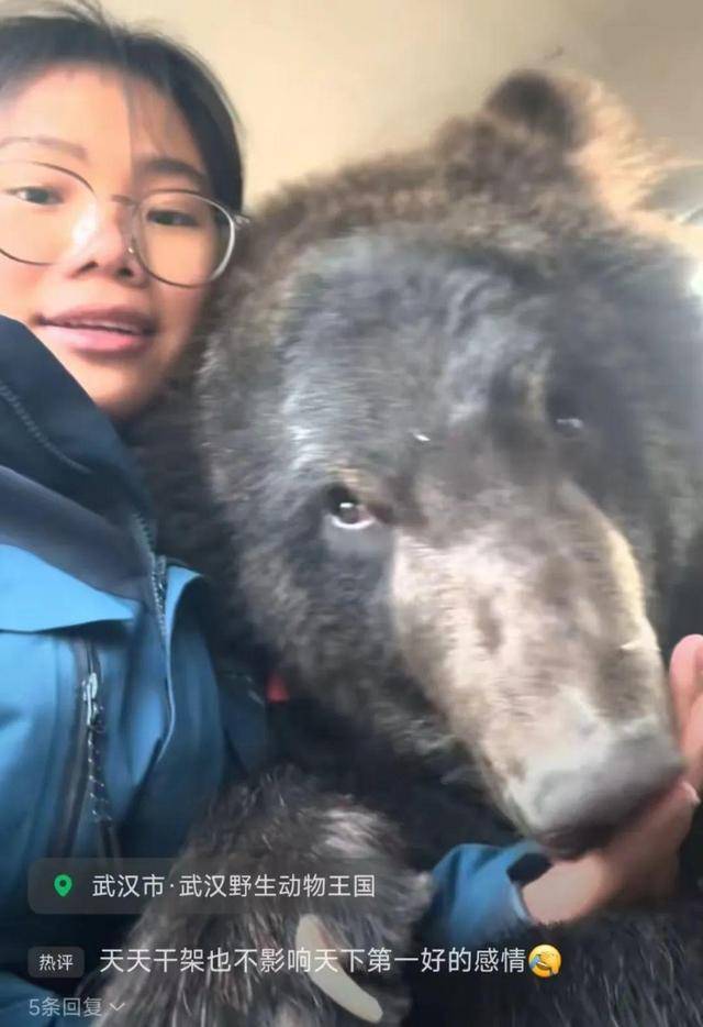 女饲养员与200斤棕熊“打架”引网友担心，当事人回应