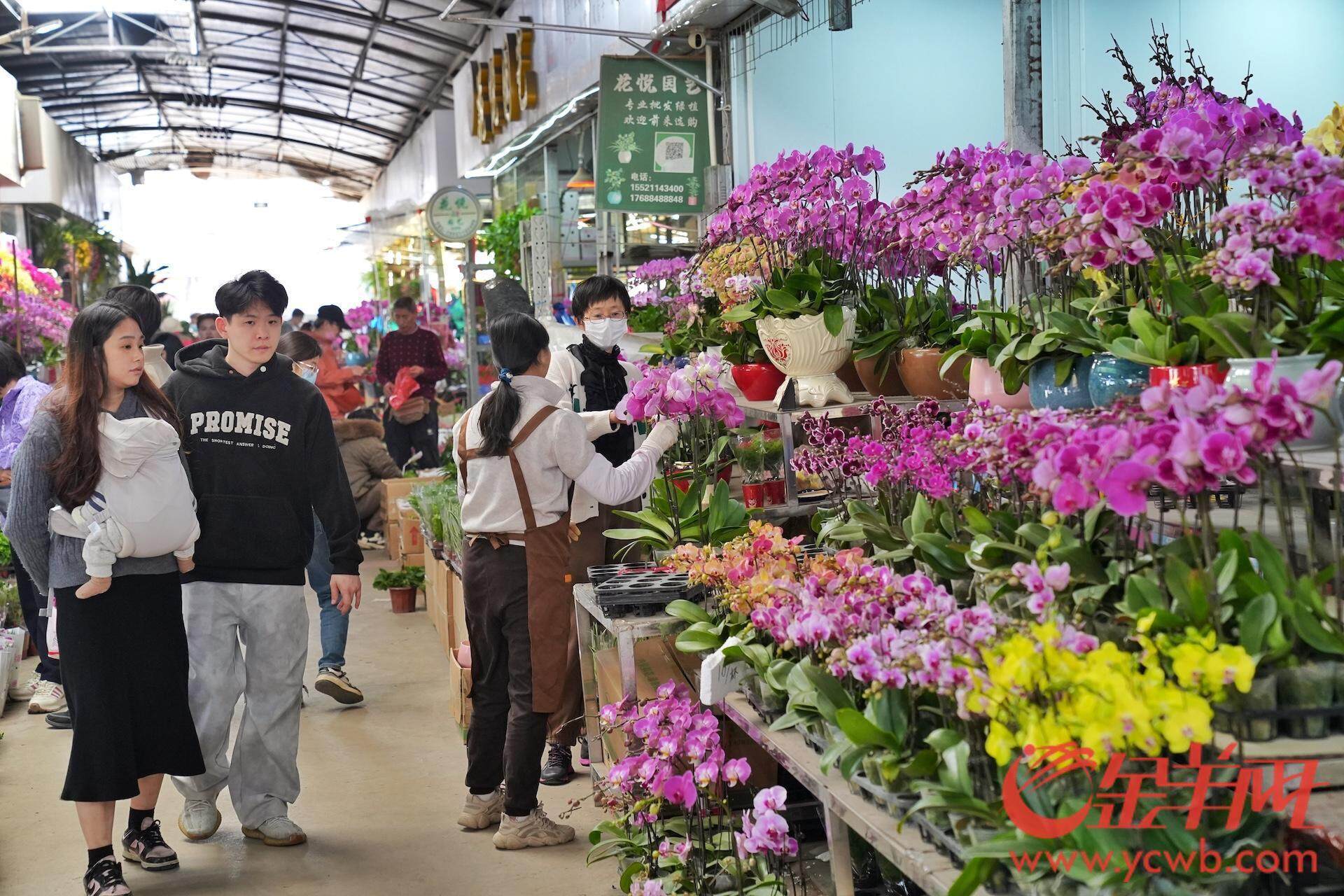 广州花卉市场砸花图片