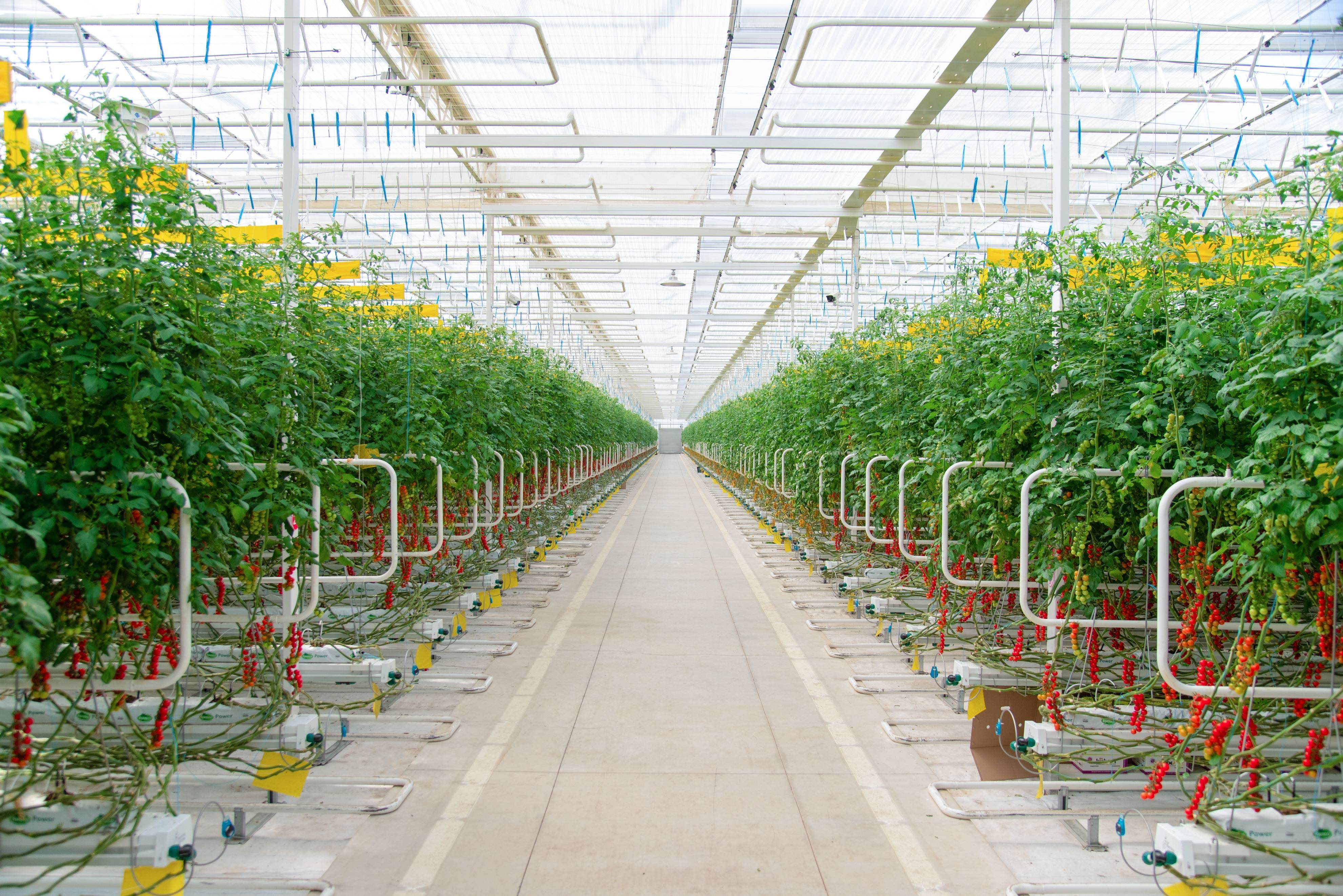 山东日照: 强化项目建设 增进民生福祉