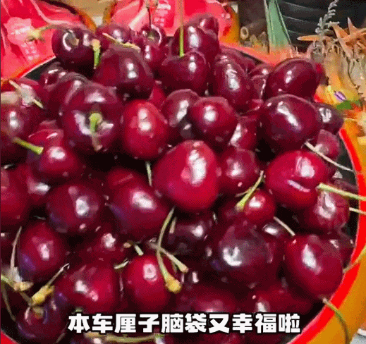 车厘子断崖式降价之后，“穷人乍富”的大馋丫头已经炫中毒了