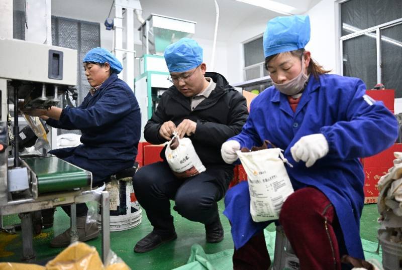 财政部将放大招，为何要提高养老金？稳就业还有哪些政策空间