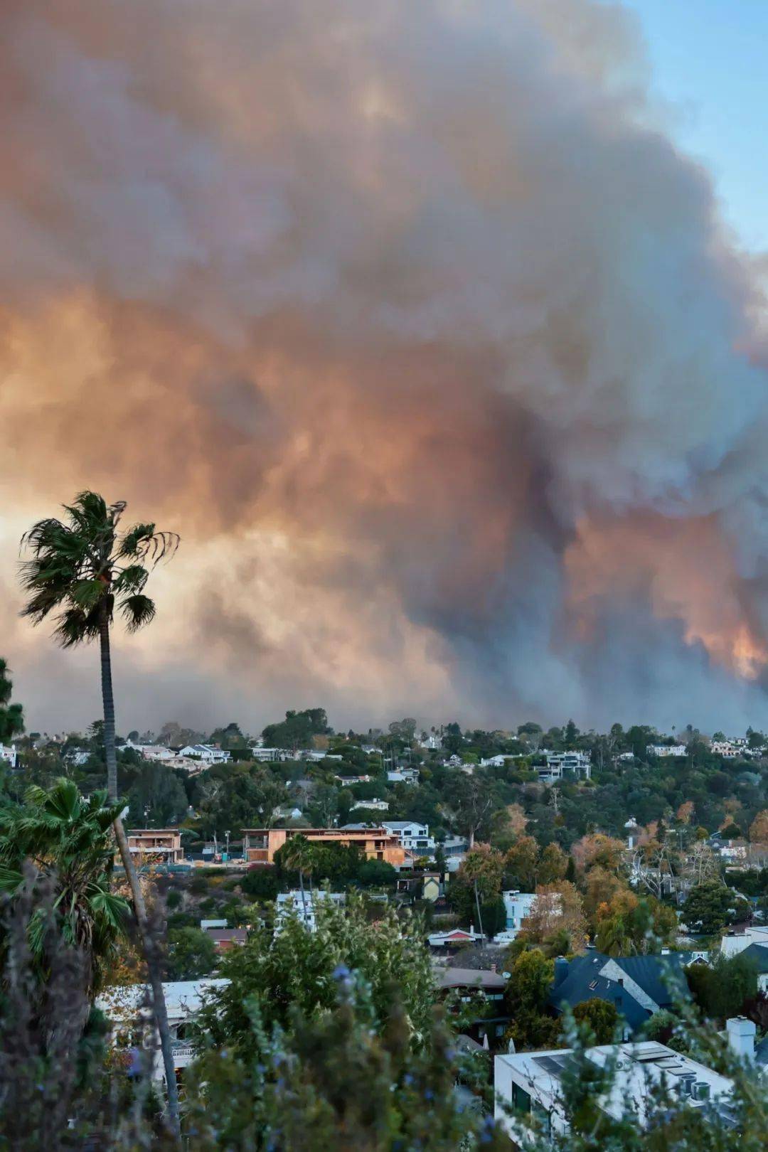 洛杉矶山火肆虐时尚界损失惨重
