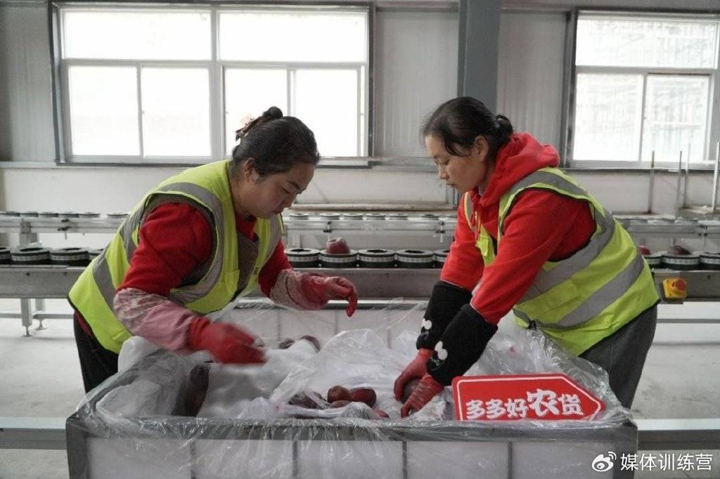 中国社科大报告：拼多多带动逾5500万人就业