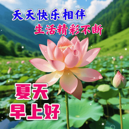 540_540gif 动态图 动图