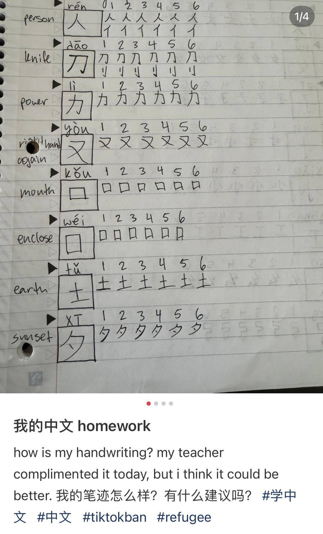 “中国人都是数学专家” 外国网友涌入小红书 “反向求助”中文和数学作业