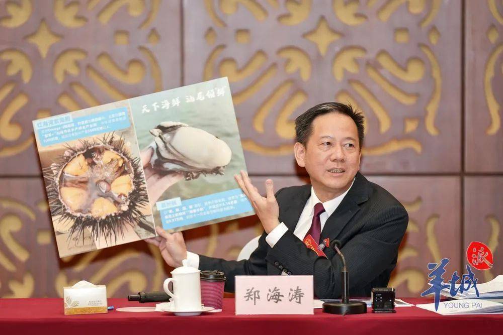 市委书记,市长化身"文旅大使",争相邀约"到广东过大年"