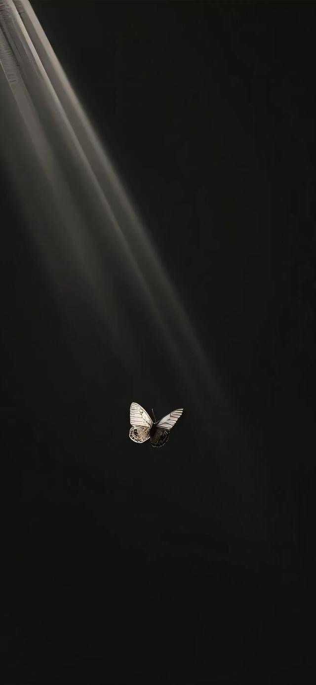 值得收藏的黑色系壁纸