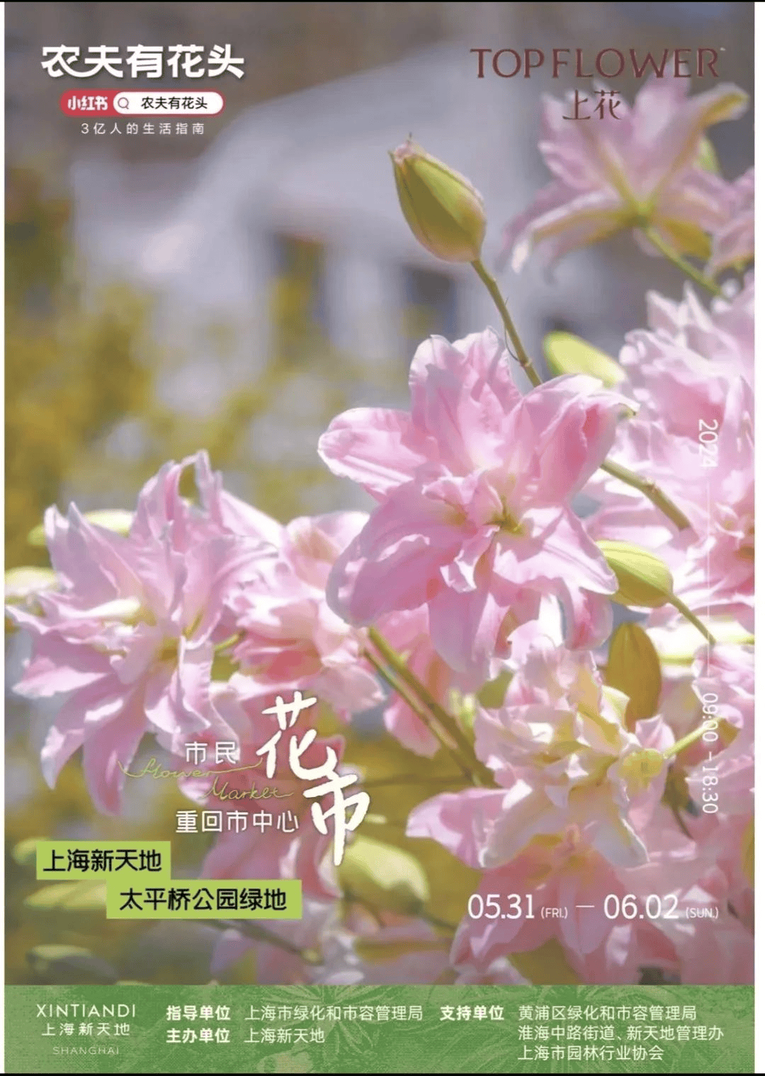 第十届上海市民绿化节精彩活动名单发布哪一个是你的最爱？(图2)