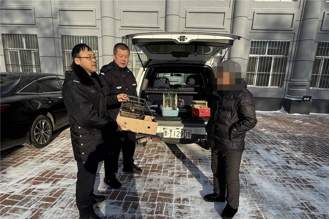 杨某,代某被拘!