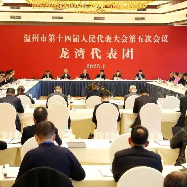 张加波参加龙湾龙港代表团审议_工作_报告_温州