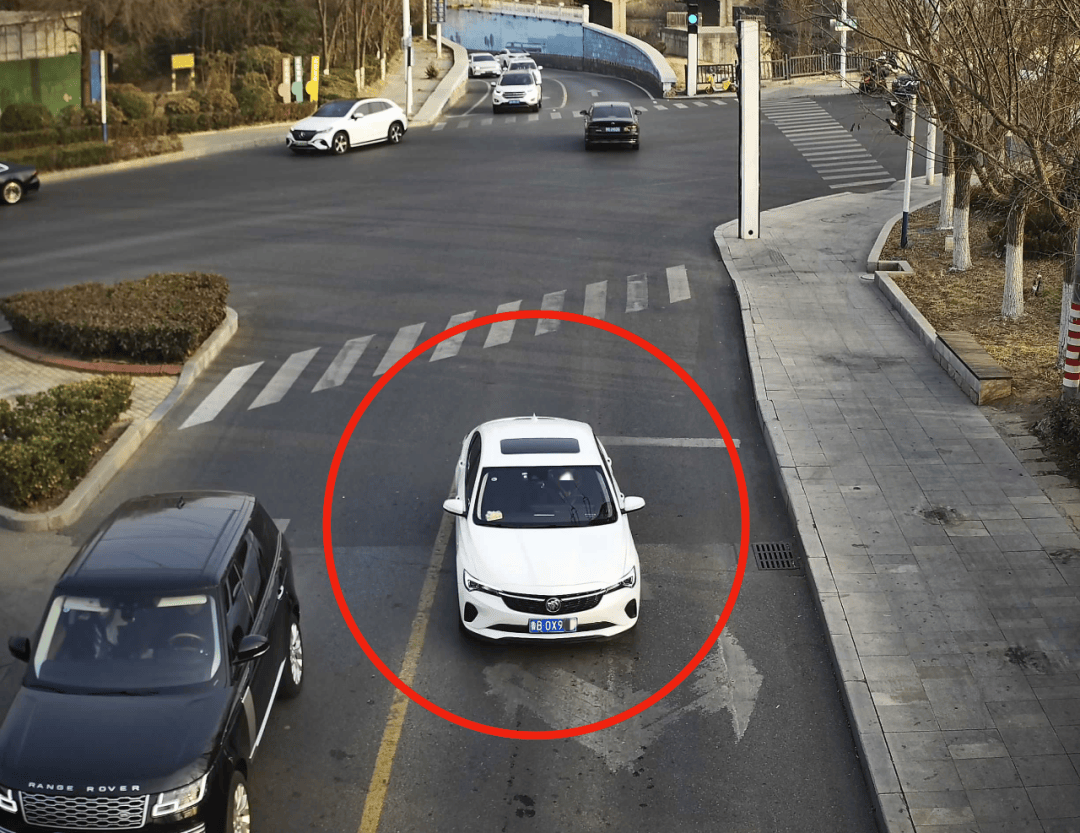近期这些逆向行驶车辆被抓拍,看看有你吗?