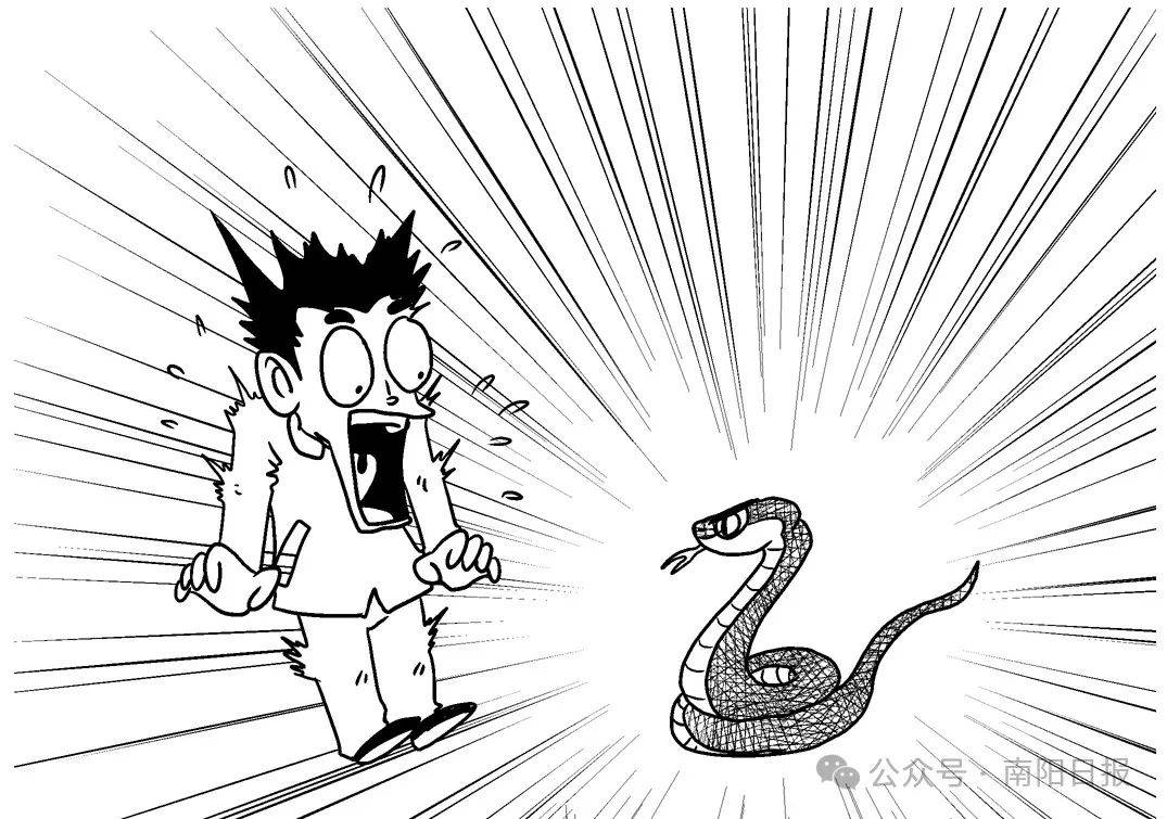 南阳有画说丨"蛇"年话蛇