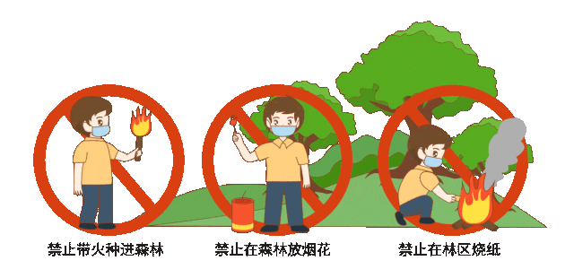 森林草原防火安全知识内容（森林草原防火安全知识顺口溜）安全教育知识，