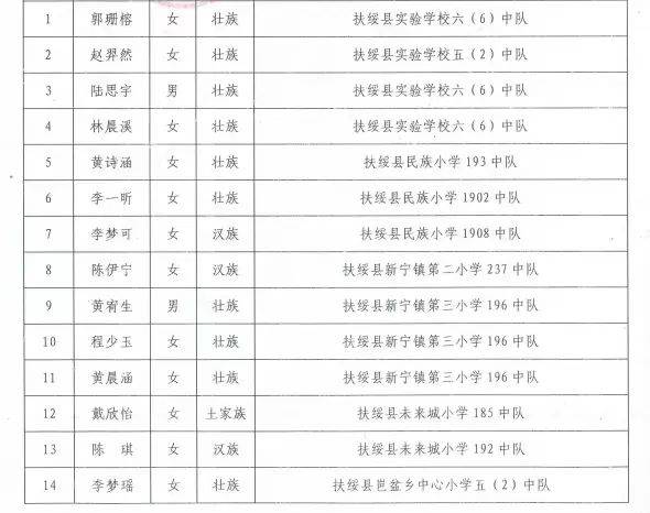 共青团扶绥县委员会2024年工作回顾