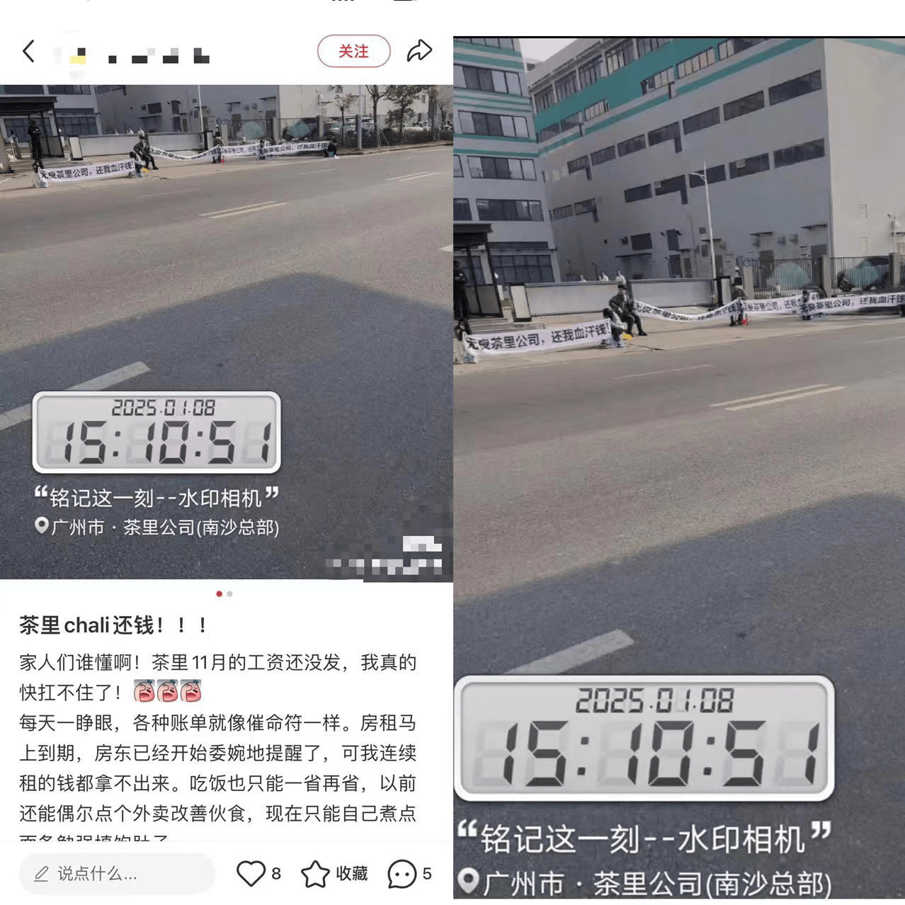 网红品牌茶里被强制执行：年前再爆“欠薪” 遭