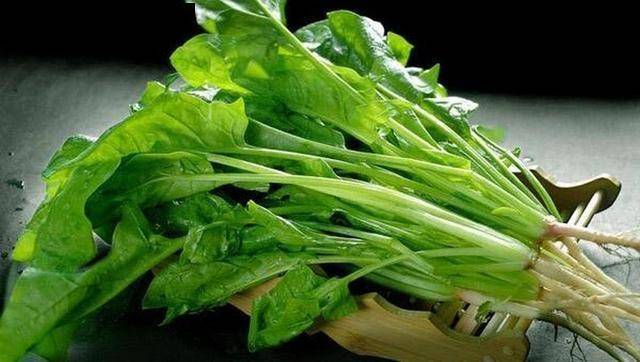 食物中的血管健康密码：老年人适用