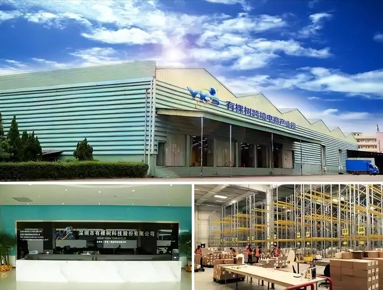 回顾:深圳跨境电商有棵树从辉煌到负债,背后资本局引人深思