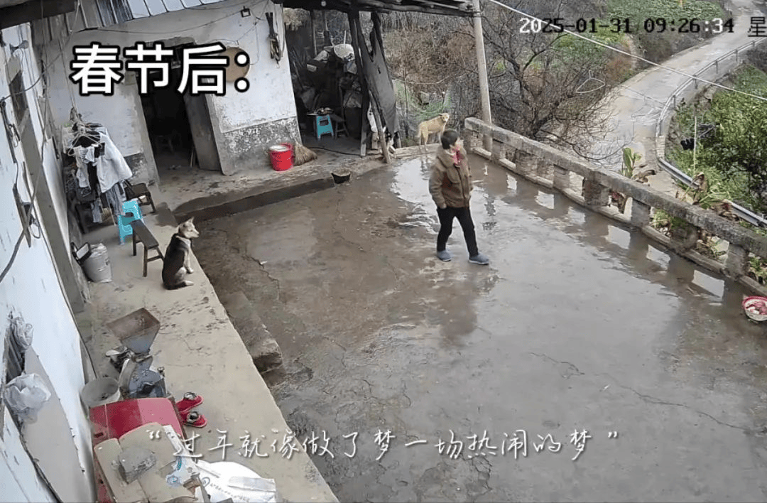“绷不住了”一组监控OB电竞入口意外爆火网友直呼泪目(图2)