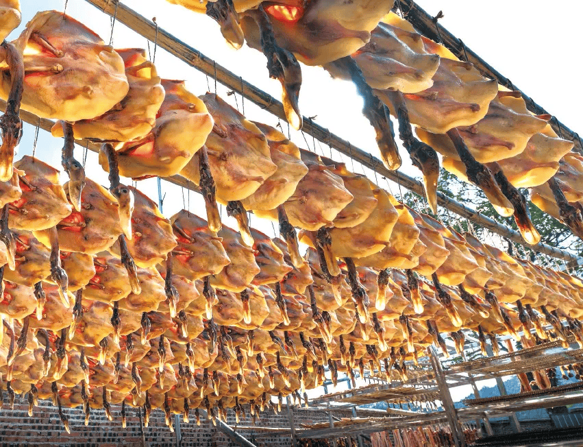 批发哪里的腊肉最便宜鸡牲鹅鸭批发市