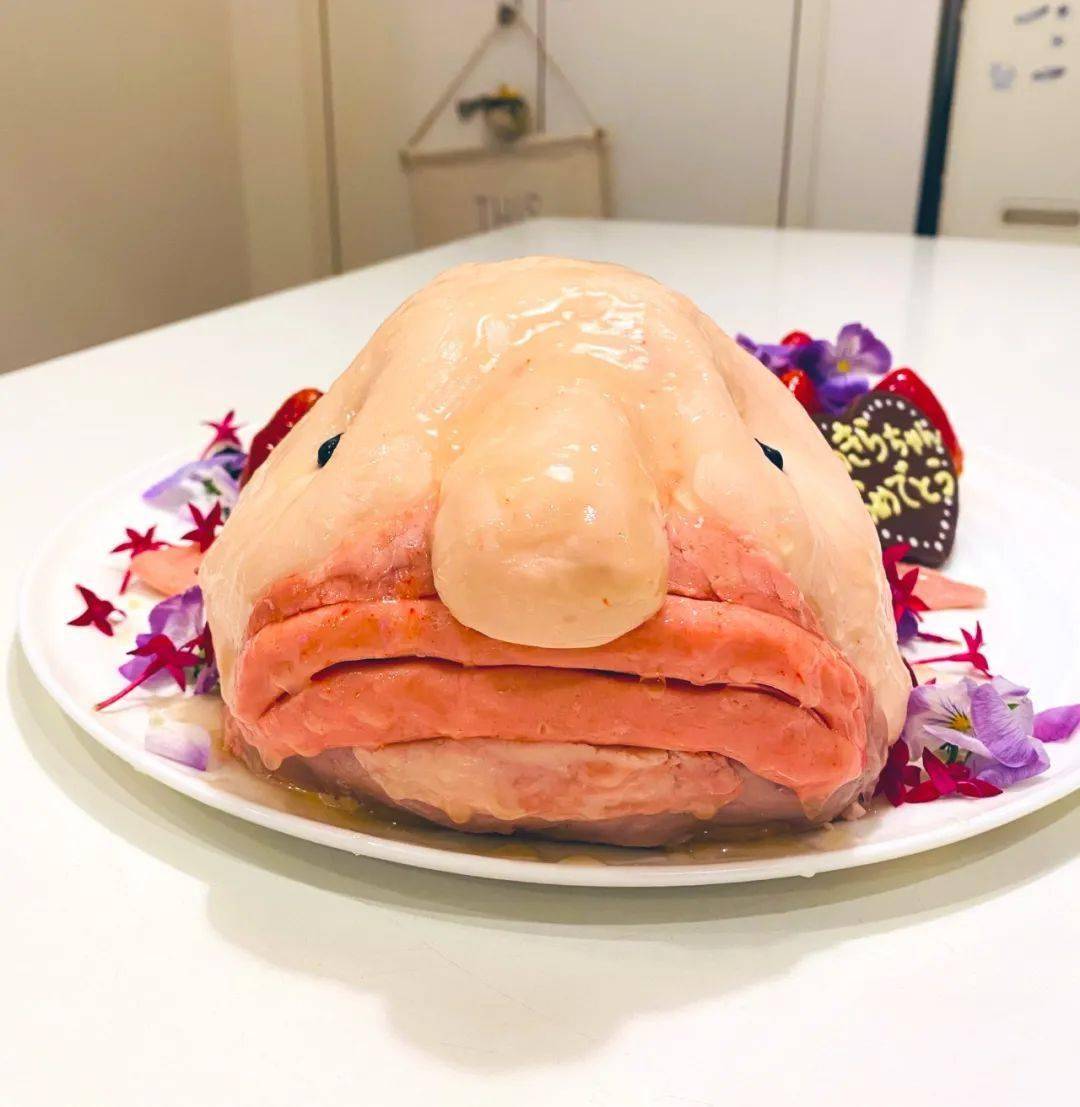 日本妈妈做的奇葩生日蛋糕,网友:看完一时我也说不上话