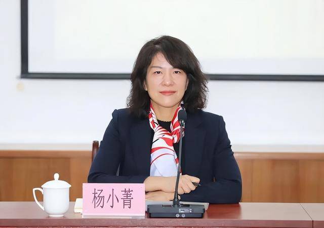 许昌市委副书记、市长杨小菁，拟获提拔！