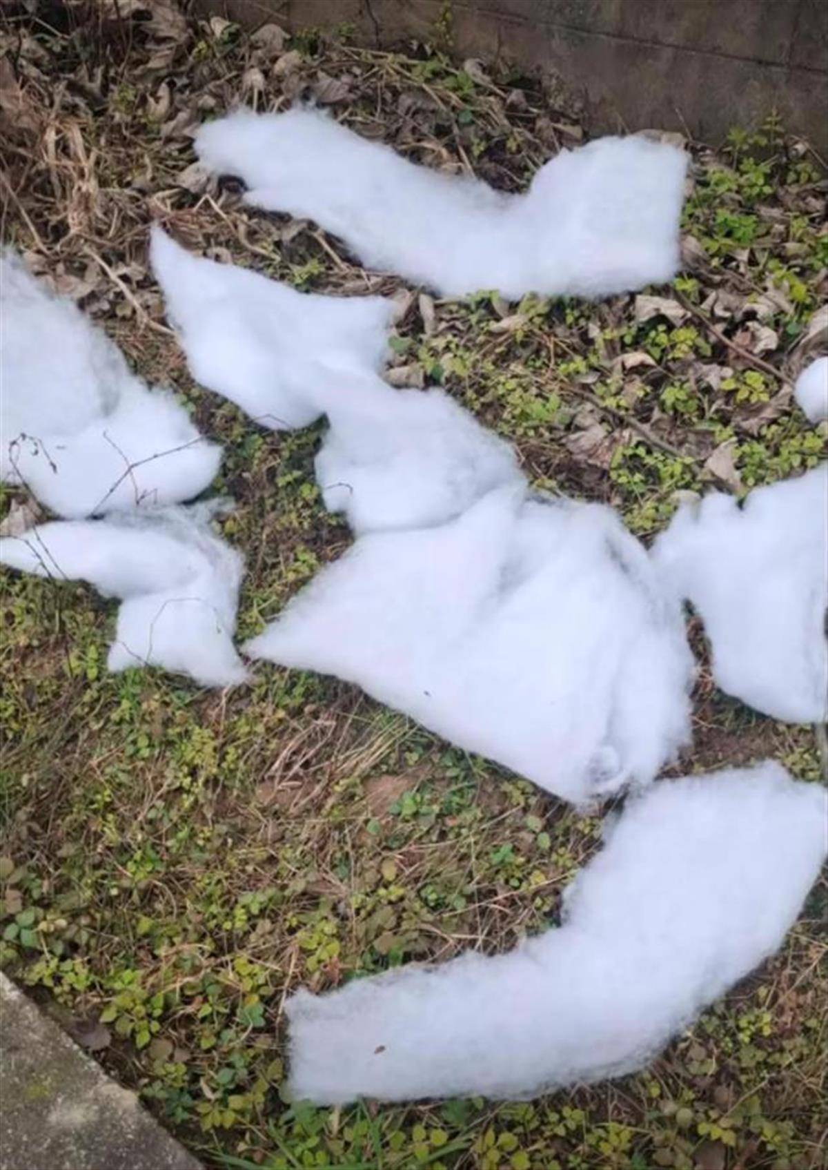 “雪村”變“棉花村”，景區(qū)致歉并關閉，就不該誤導消費者