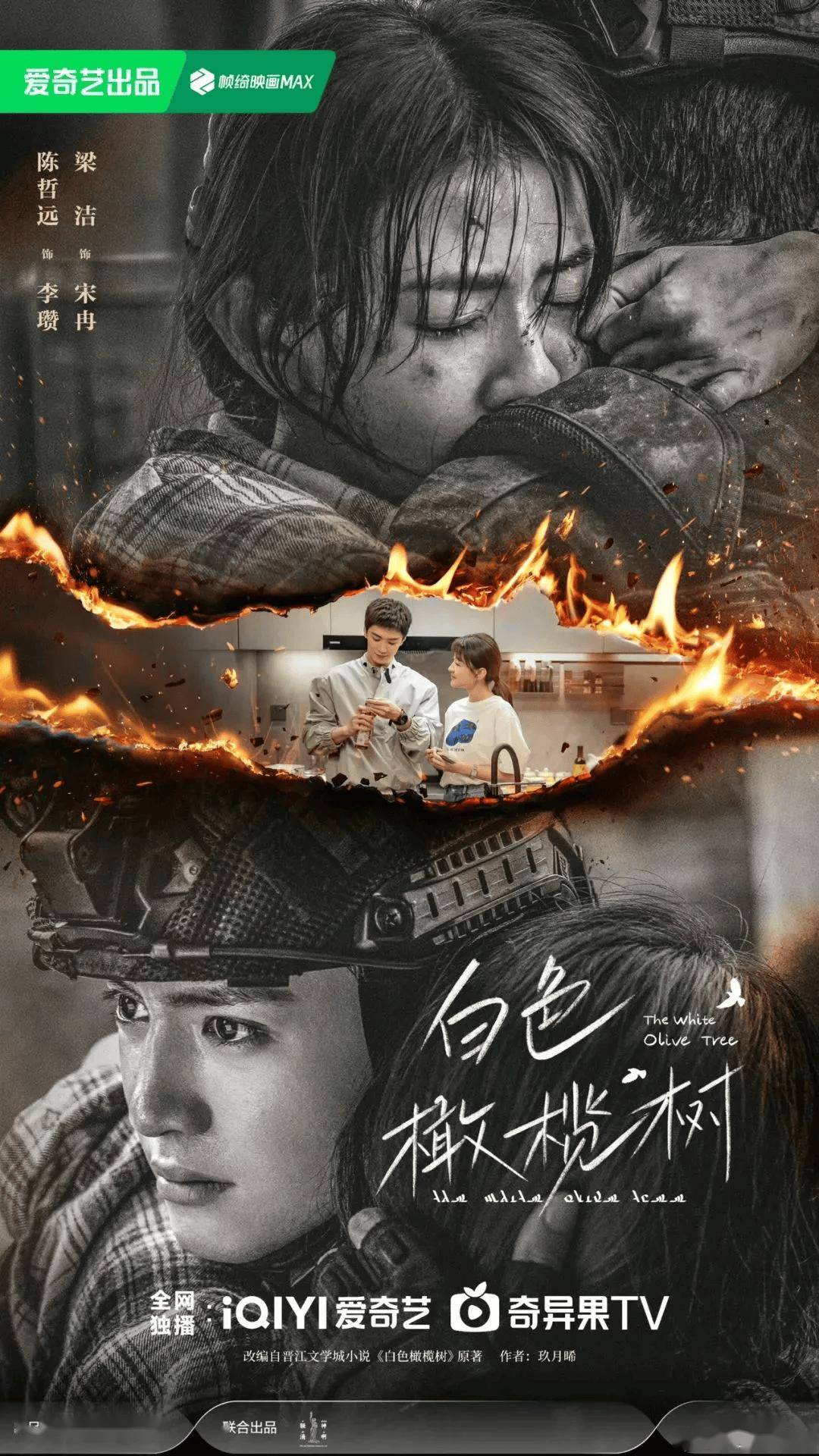 王天辰：在争议中前行的演员，相关演员王天辰：演艺之旅与多彩生活