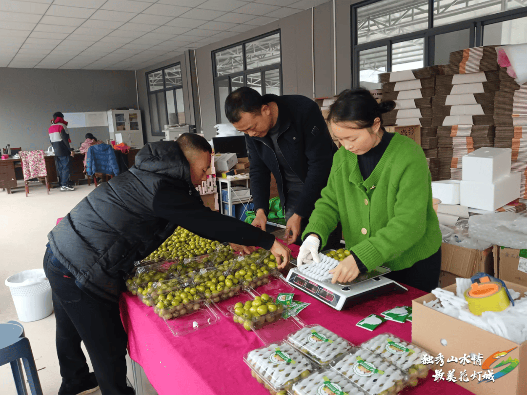 开云体育网址【乡村行 看振兴】独山县：大棚蔬菜绿意浓 错峰上市助增收(图2)