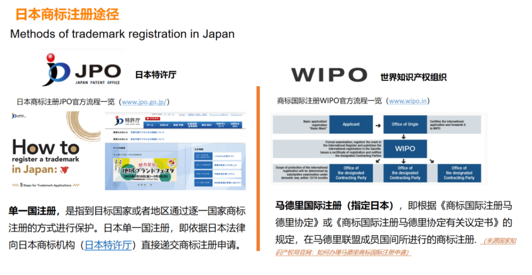 看国外视频ip代理