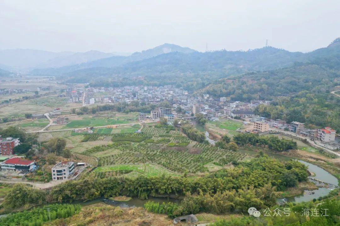 助力水果自由连江这里大量出售→开云体育(图5)