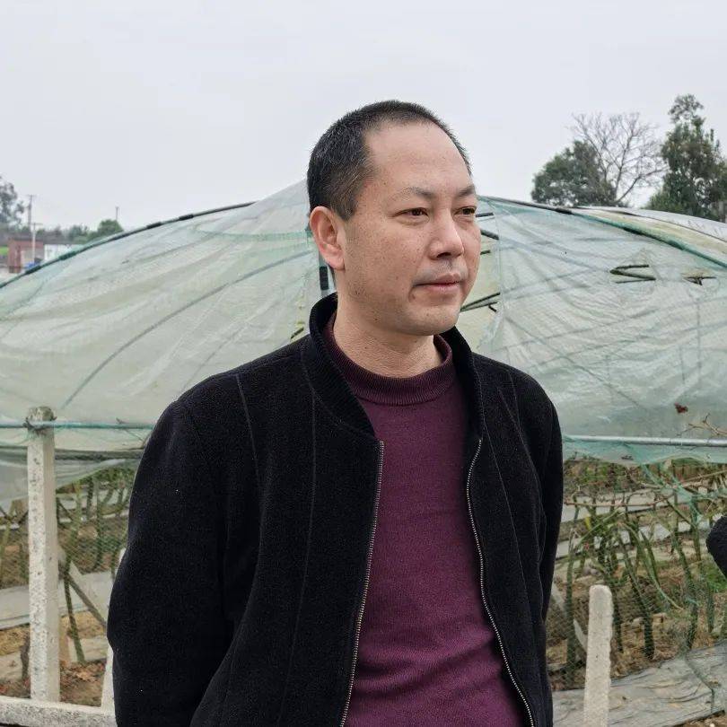 新农人· 新农开云体育入口路 ▏罗兆荣：金泰葡萄园的绿色梦想(图6)
