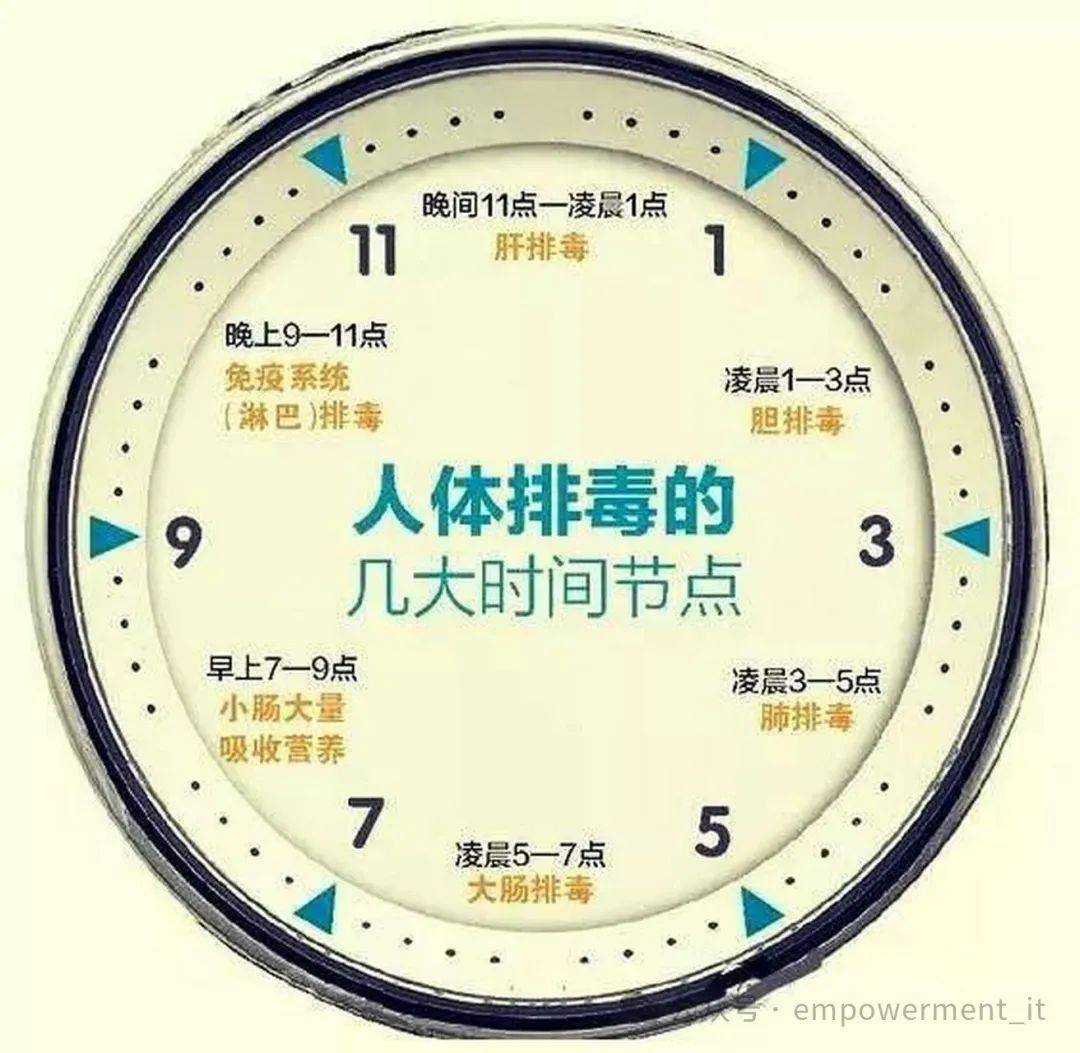 肝脏排毒时间:第一部分:熬夜对肝脏的伤害为大家整理了3个提升睡眠