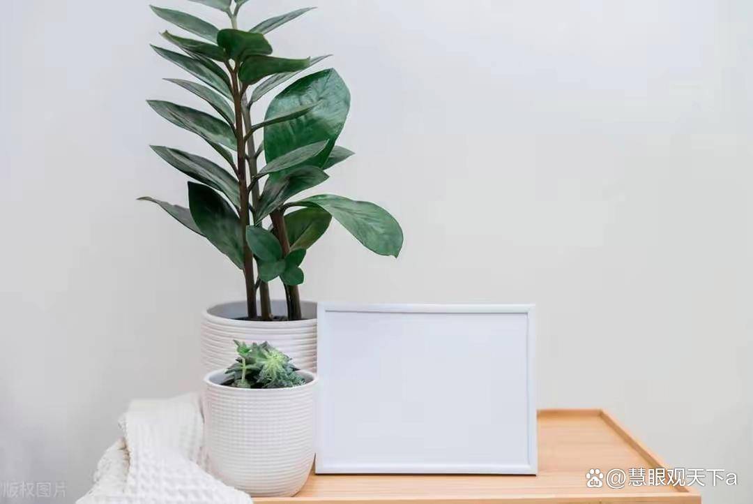 晚年不管有多少存款，都要提前给子女立下这几条规矩，这是远见_儿子_晚年生活_老人