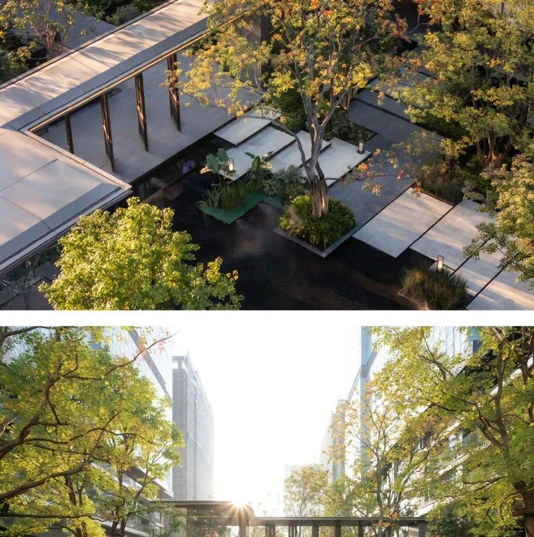 将四季的光阴装入玻璃樽 | 成都经开发展-龙湖·天澜_侵权_商业用途_版权
