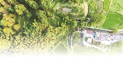 春节假期，外籍人士预定民宿数量同比增长3.7倍——“中国游”的风吹进了乡村（环球热点） -华闻时空