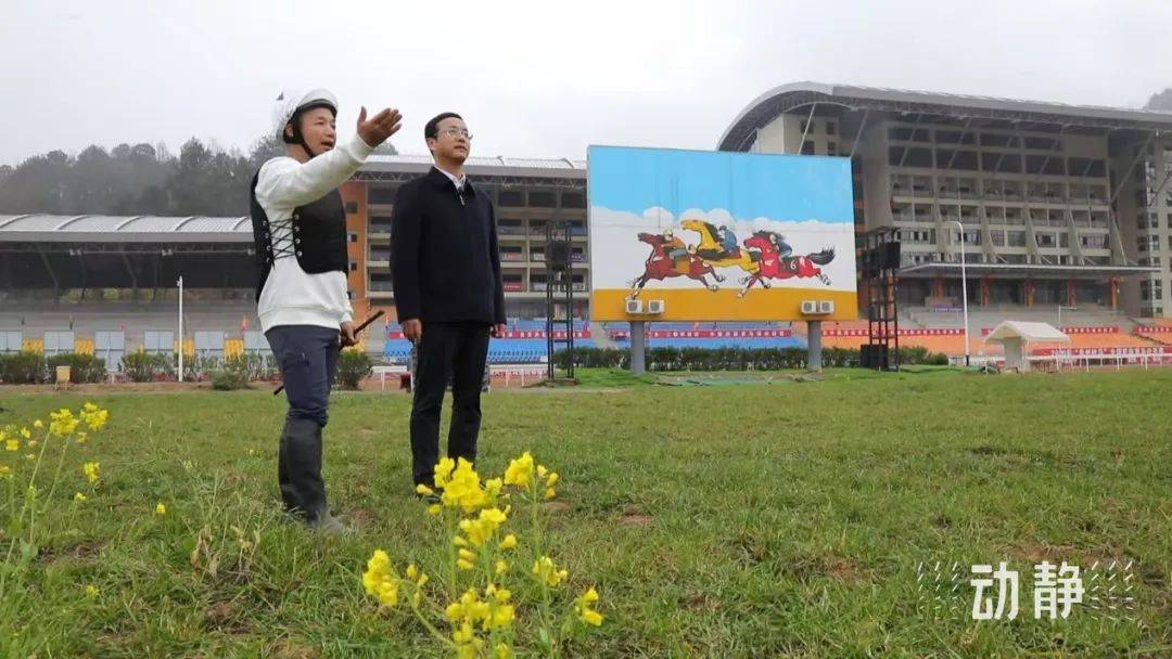 人大代表杨凯:打响"贵州村马"ip品牌,竞速文旅新赛道