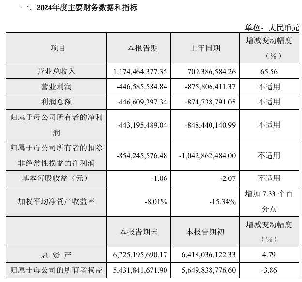 寒武纪 2024 年营收 11.74 亿元同比增 65.56%，净亏损 4.43 亿元