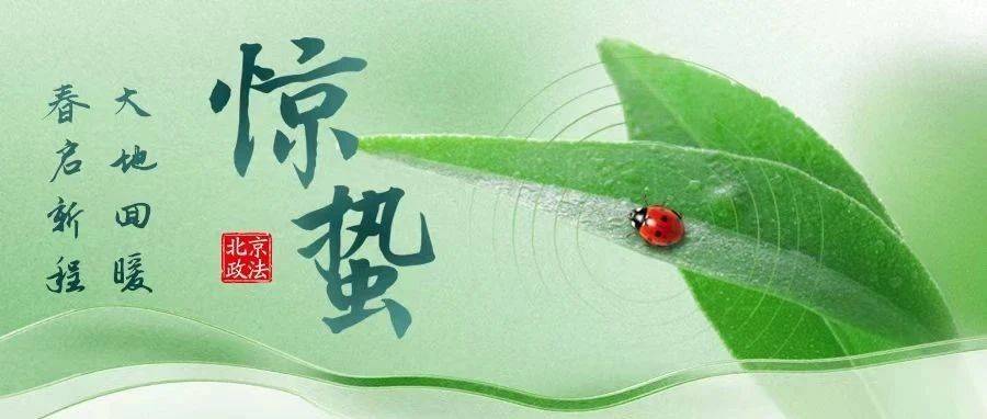 今日惊蛰 | 万物初醒,人间惊鸿_潘璠_杨凡_制图
